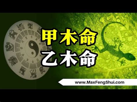 甲木 乙木 怎麼看|【甲木乙木怎麼看】甲木乙木如何辨別？一眼看清你是哪種木命人。